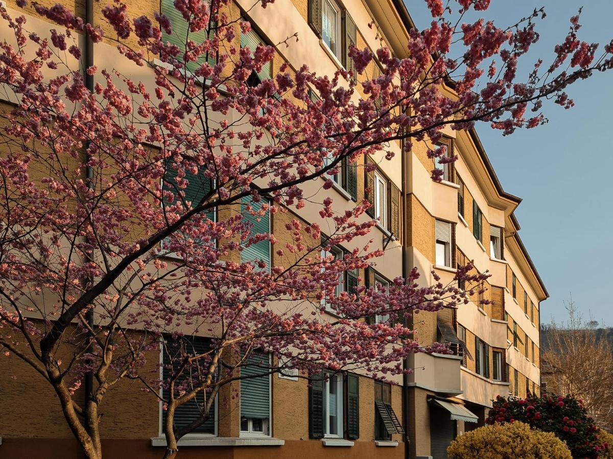 Apartment Central Suite Meran